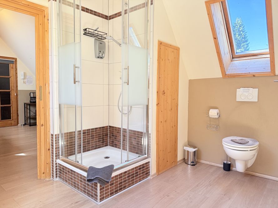Wohlfühl Studio Tannenwipfel Tageslichtbad mit infrarotsauna