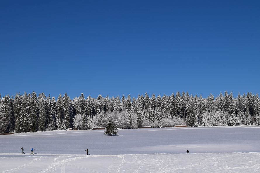 Winterurlaub im Schwarzwaldhaus Langlaufloipen in der nahen Umgebung